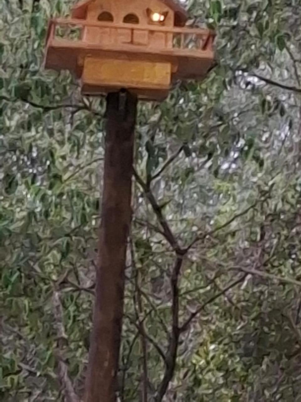 African Bush Escape Marloth Park Exteriör bild